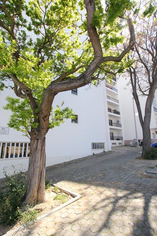 Casa Belavista - Baia Daire Lagos Dış mekan fotoğraf